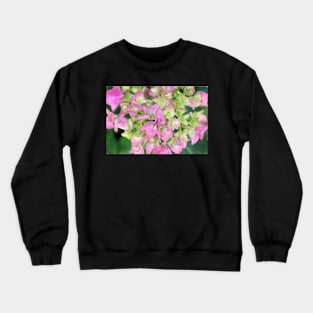 Beauty is God's Handwriting Crewneck Sweatshirt